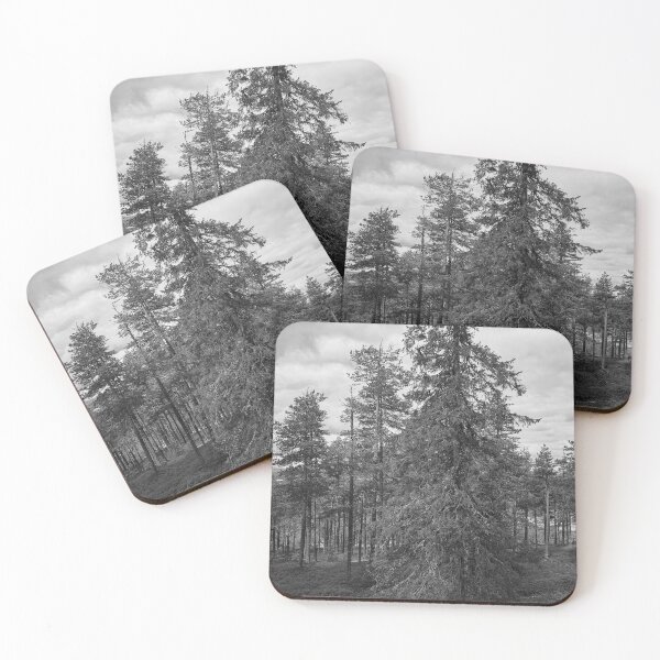 Item preview, Northern spruce in bw designed and sold by Jouko Lehto Photography.