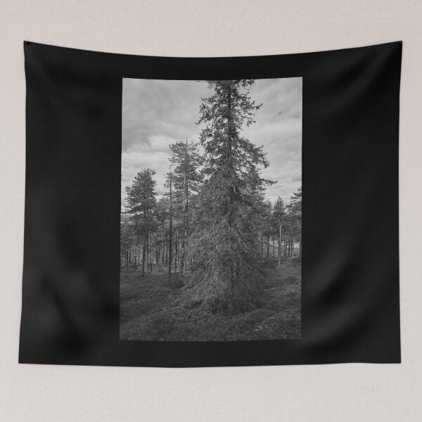 Item preview, Northern spruce in bw designed and sold by Jouko Lehto Photography.
