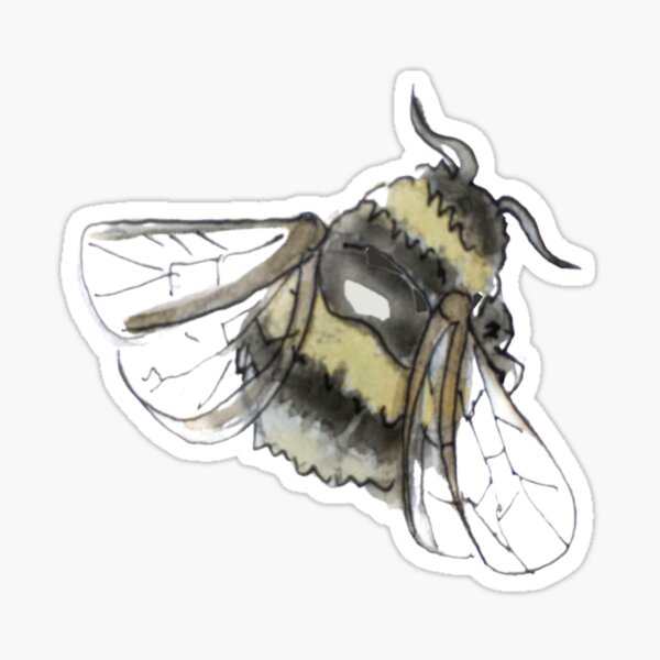 Fluffy Bumblebee Illustration in Watercolor Sticker