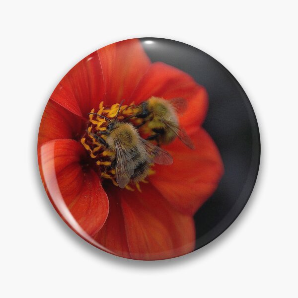 Item preview, Open all hours designed and sold by Photography  by Mathilde.