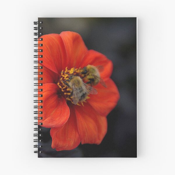 Item preview, Open all hours designed and sold by Photography  by Mathilde.