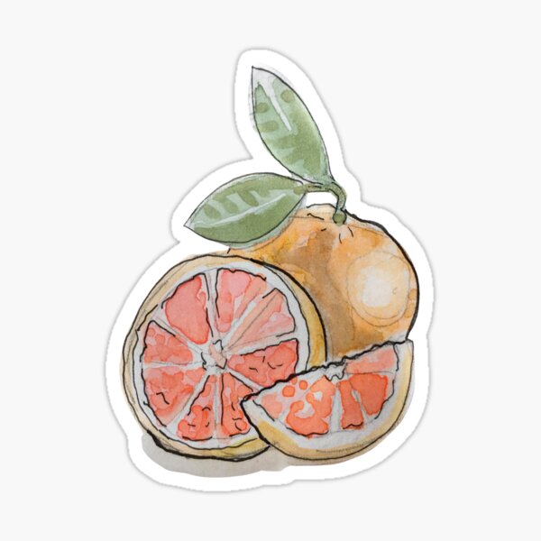 Item preview, Sliced Grapefruit with Leaves Illustration in Watercolor designed and sold by Regan Ralston.