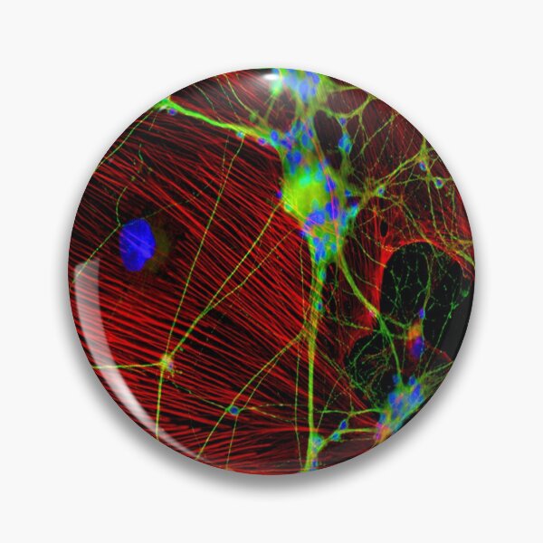 Item preview, Synapses designed and sold by pocketsoup.