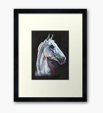 Desert Orchid Framed Print