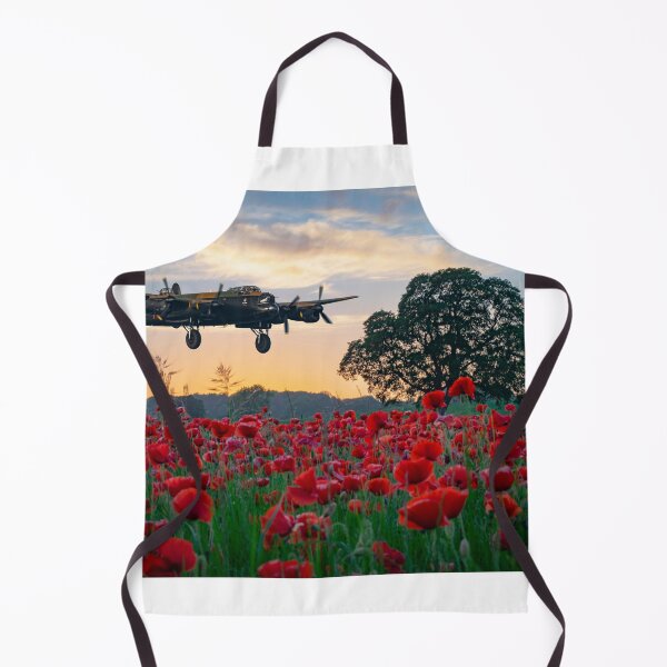 Item preview, Lancaster Bomber coming home! designed and sold by John Stoves.