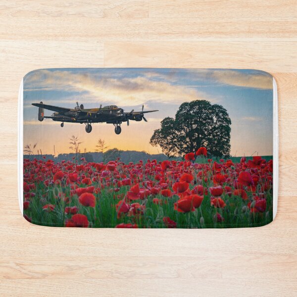 Artikelvorschau,  Beide Bilder gehören mir und werden von mir aufgenommen. Der Lancaster Bomber ist eines meiner Lieblingsflugzeuge des Zweiten Weltkriegs entworfen und verkauft von John Stoves.