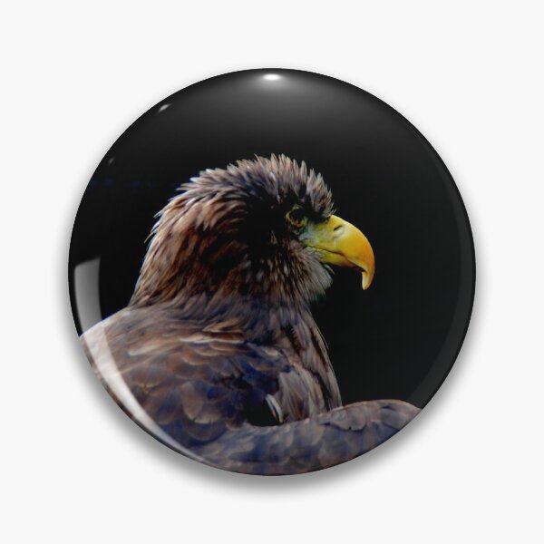 Item preview, Sea Eagle designed and sold by Photography  by Mathilde.