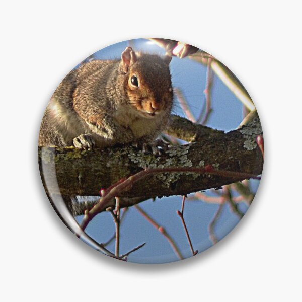 Item preview, Thereby hangs a tale !  designed and sold by Photography  by Mathilde.
