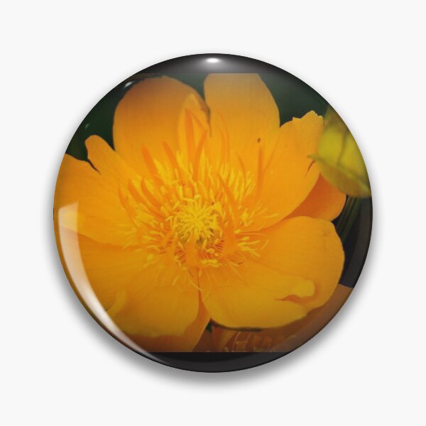 Item preview, Yellow.  designed and sold by RTIphotography.