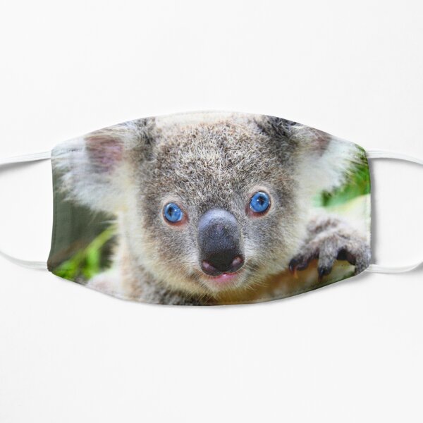 Koala blue eyes Masque taille M/L