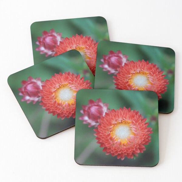 Item preview, Fireball designed and sold by AGODIPhoto.
