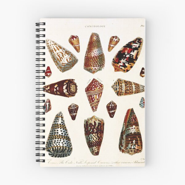 Item preview, Vintage british botanical illustration - Conchology 01 designed and sold by Gardenlibrary.