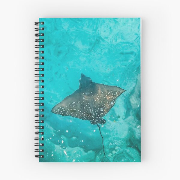 Item preview, Eagle Ray Fish designed and sold by PurpleTank.