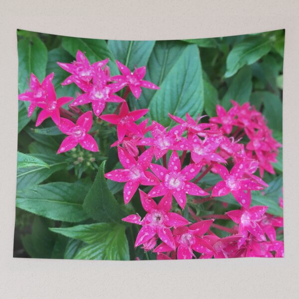 Item preview, Pink Stars designed and sold by Jenna Coffin.