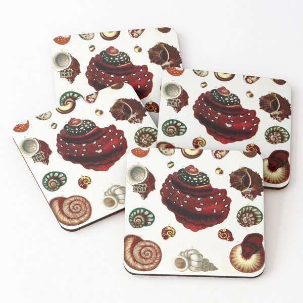 Item preview, Vintage british botanical illustration - Conchology 02 designed and sold by Gardenlibrary.