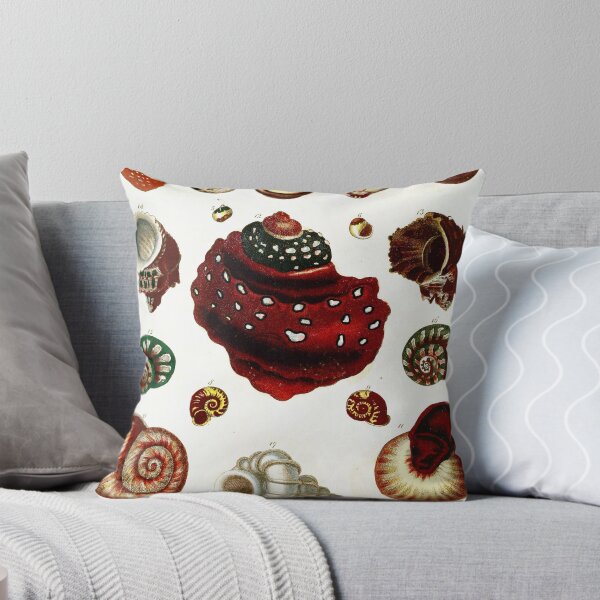 Item preview, Vintage british botanical illustration - Conchology 02 designed and sold by Gardenlibrary.
