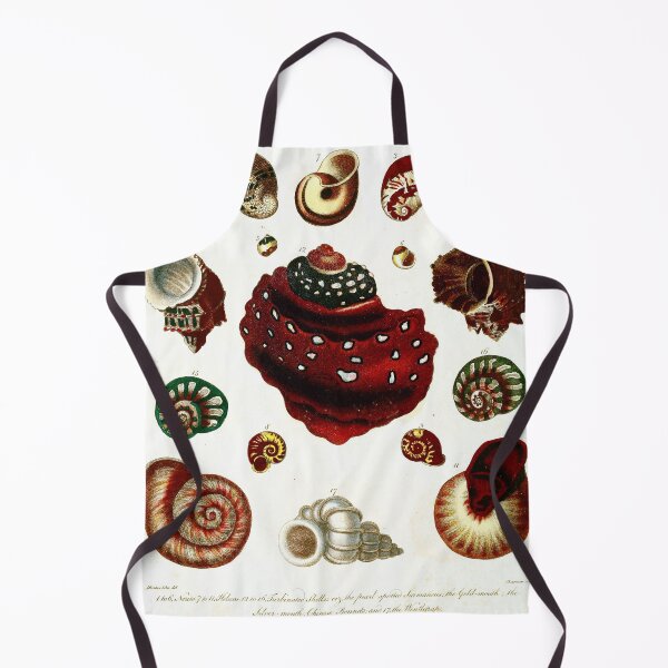 Item preview, Vintage british botanical illustration - Conchology 02 designed and sold by Gardenlibrary.