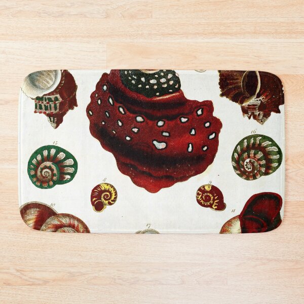 Item preview, Vintage british botanical illustration - Conchology 02 designed and sold by Gardenlibrary.