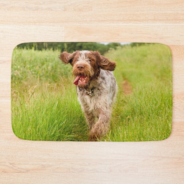 Item preview, Hunting for poppies Spinone designed and sold by FOLK ART FUSION by heidiannemorris.