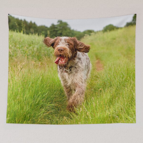 Item preview, Hunting for poppies Spinone designed and sold by FOLK ART FUSION by heidiannemorris.