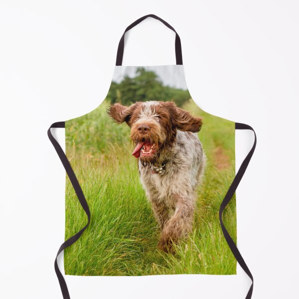 Item preview, Hunting for poppies Spinone designed and sold by FOLK ART FUSION by heidiannemorris.