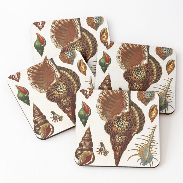 Item preview, Vintage british botanical illustration - Conchology 03 designed and sold by Gardenlibrary.