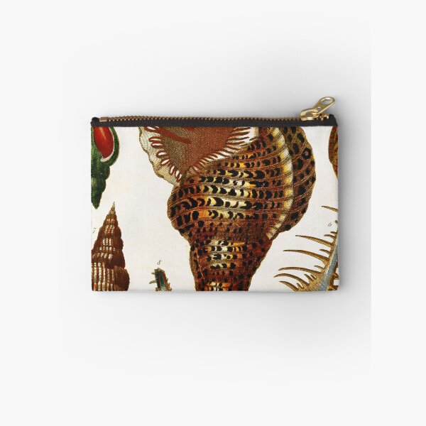 Item preview, Vintage british botanical illustration - Conchology 03 designed and sold by Gardenlibrary.