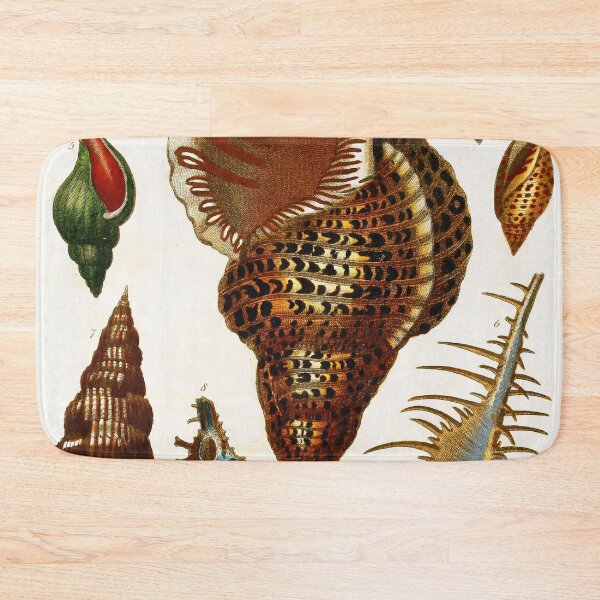 Item preview, Vintage british botanical illustration - Conchology 03 designed and sold by Gardenlibrary.
