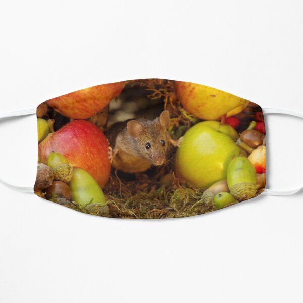 George the mouse in a log pile house - stand back apples super mouse coming through Flat Mask