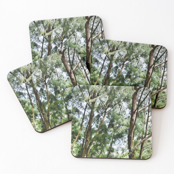Item preview, Trees at Singapore botanical Gardens designed and sold by thehollowpoint.