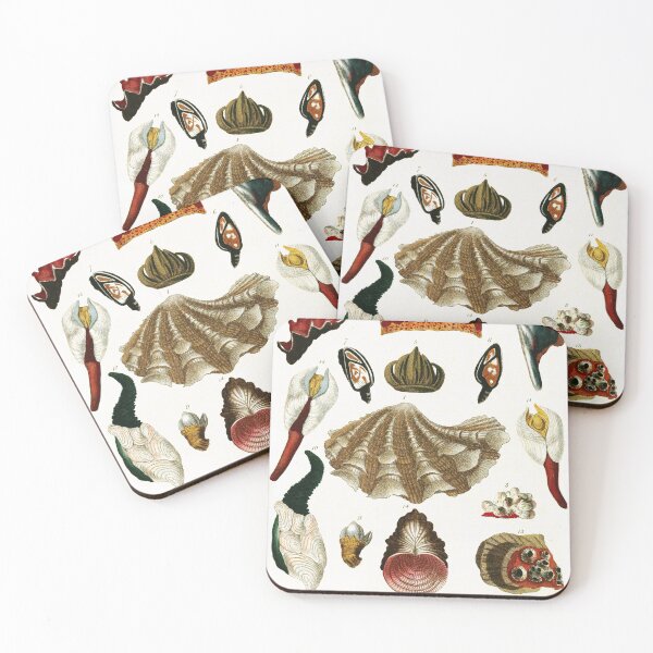 Item preview, Vintage british botanical illustration - Conchology 04 designed and sold by Gardenlibrary.