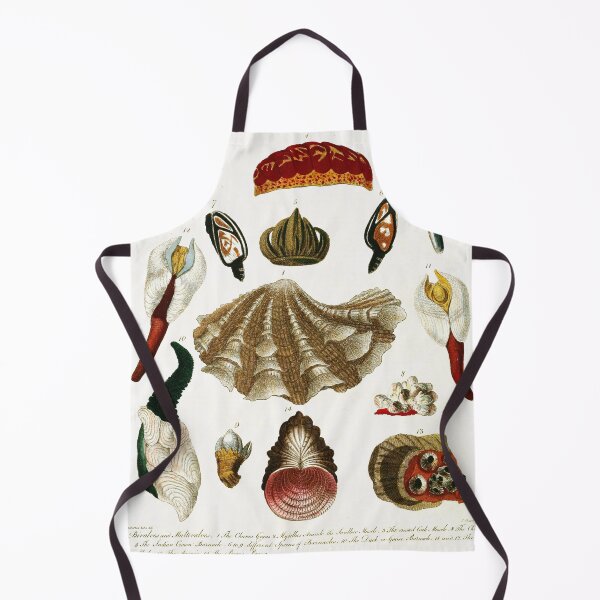 Item preview, Vintage british botanical illustration - Conchology 04 designed and sold by Gardenlibrary.