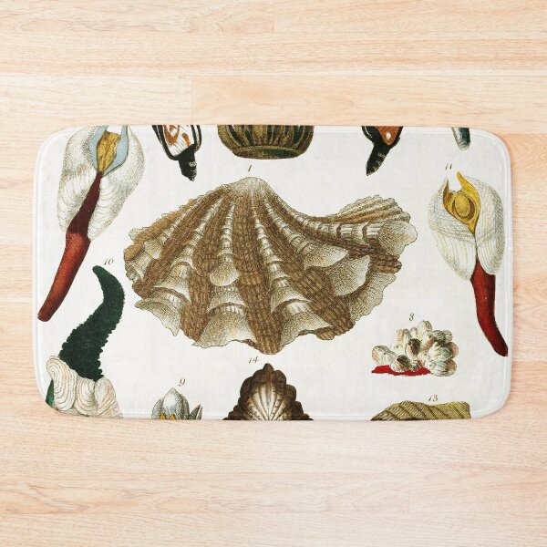 Item preview, Vintage british botanical illustration - Conchology 04 designed and sold by Gardenlibrary.