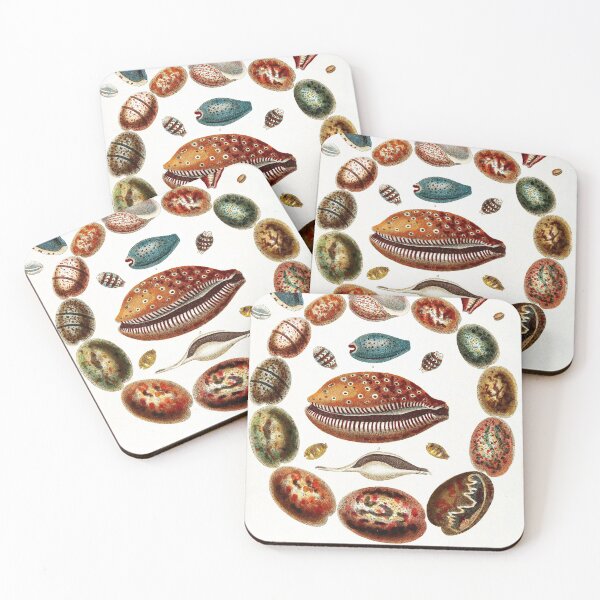 Item preview, Vintage british botanical illustration - Conchology 05 designed and sold by Gardenlibrary.
