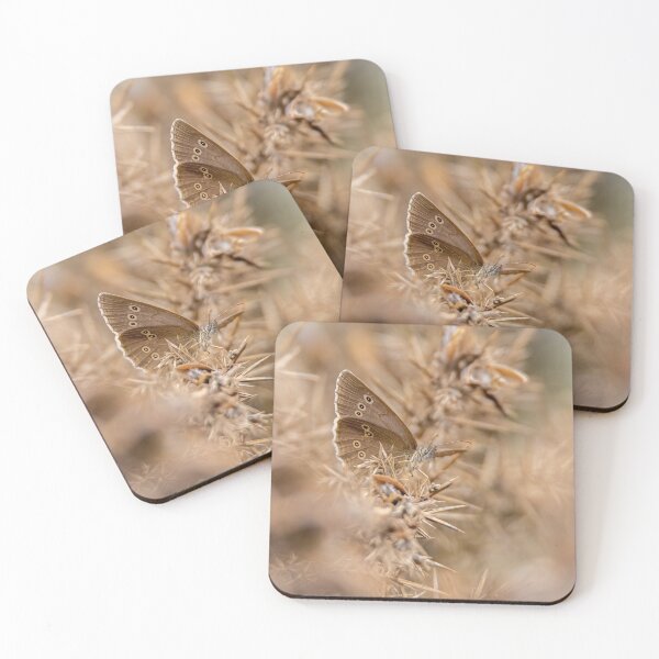 Item preview, Ringlet Butterfly designed and sold by PhotographMassa.
