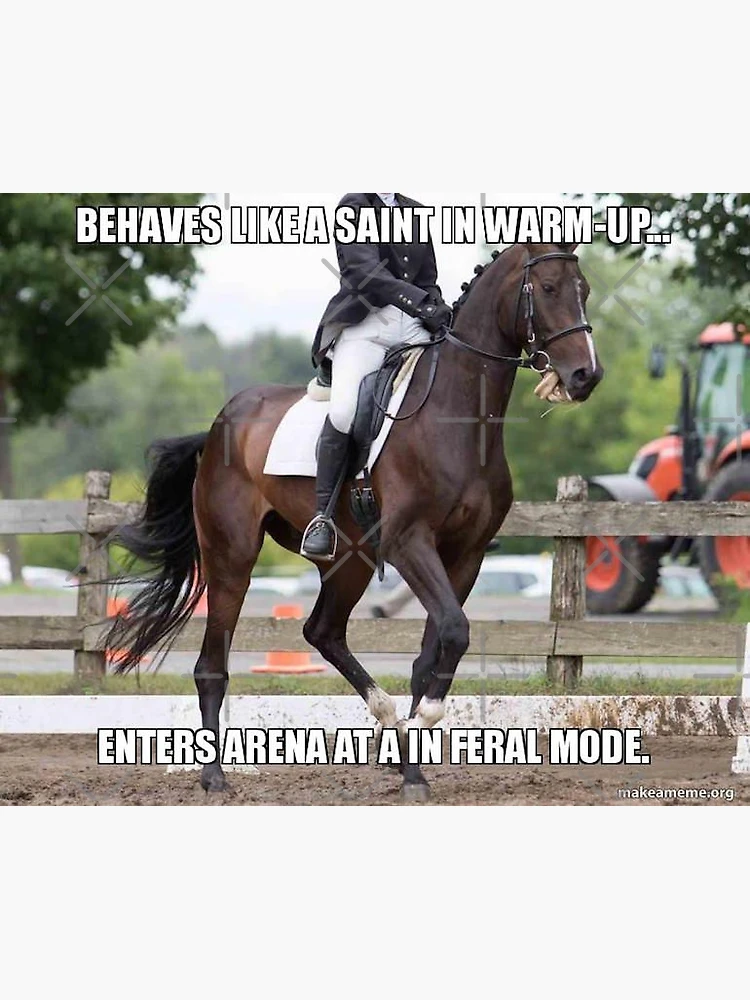 Horseback Riding Horse Fails Funny When All Else Fails Ride Your