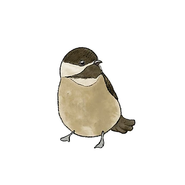 Artwork thumbnail, Chickadee by DrawingBasic