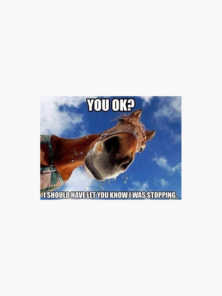 "You Okay Horse Meme" Sticker for Sale by Yviemakes Redbubble