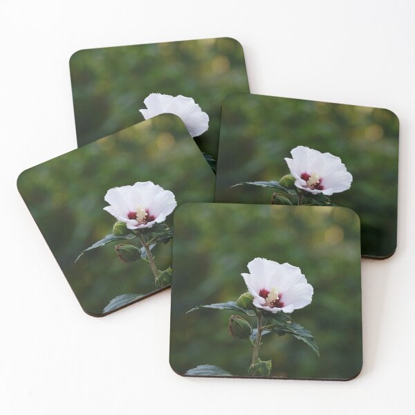 Item preview, Lady in White designed and sold by AGODIPhoto.