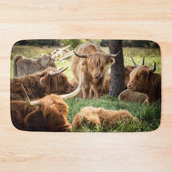 Item preview, A family of Highland Cattle designed and sold by PhotographMassa.