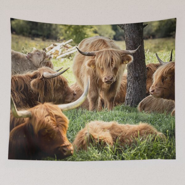 Item preview, A family of Highland Cattle designed and sold by PhotographMassa.