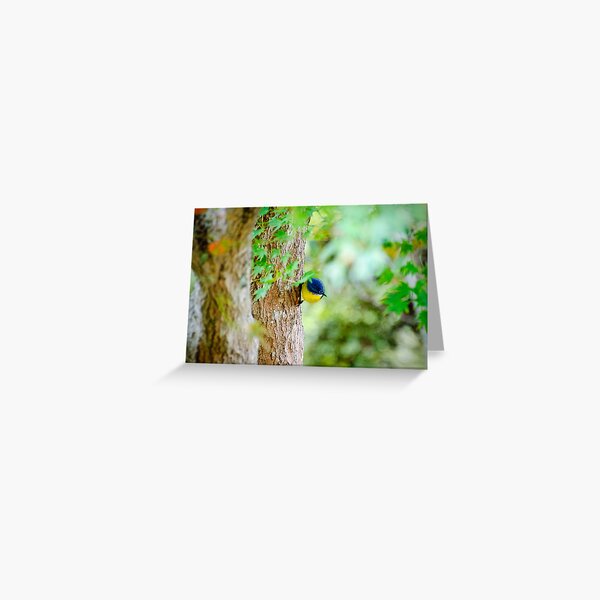 Looking for Food Greeting Card