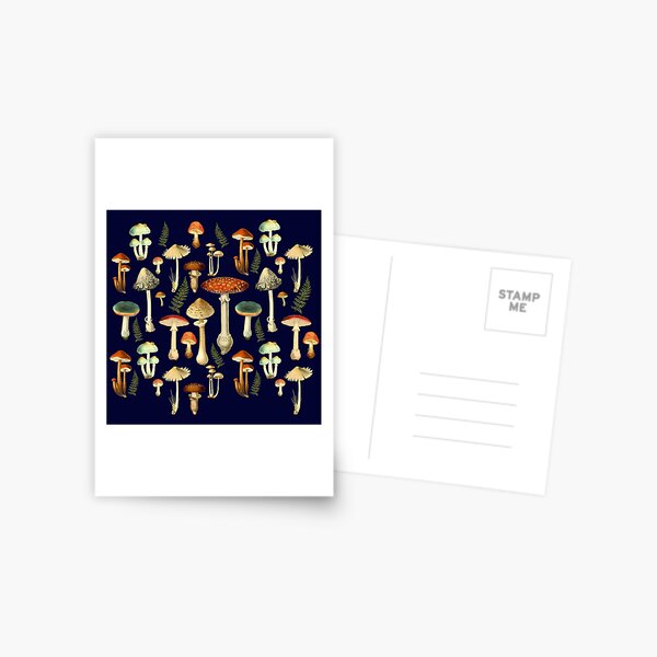 Fliegenpilze Postkarte