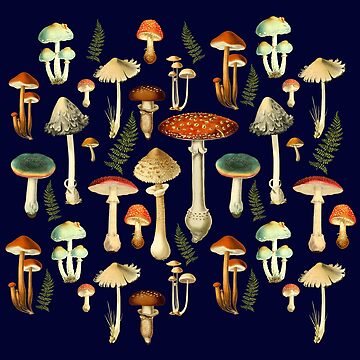 Artwork thumbnail, Toadstools by grinningskull