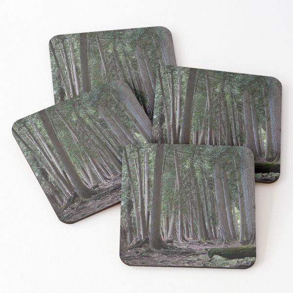 Item preview, peninsula state park woods designed and sold by distracted.