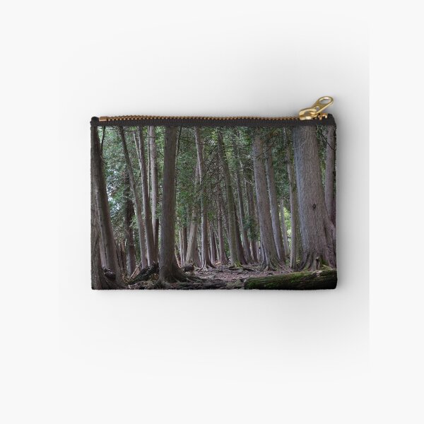 Artikelvorschau, Halbinsel State Park Wälder entworfen und verkauft von distracted.
