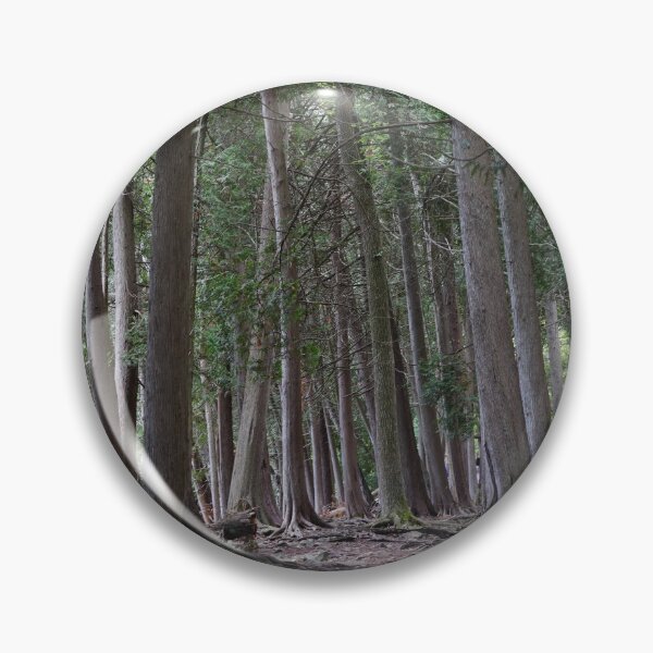 Item preview, peninsula state park woods designed and sold by distracted.