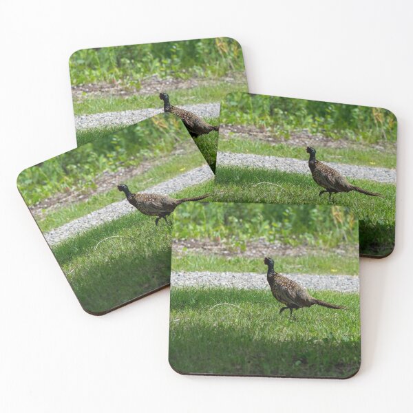 Item preview, Ring necked pheasant on patrol designed and sold by CanadianWild418.