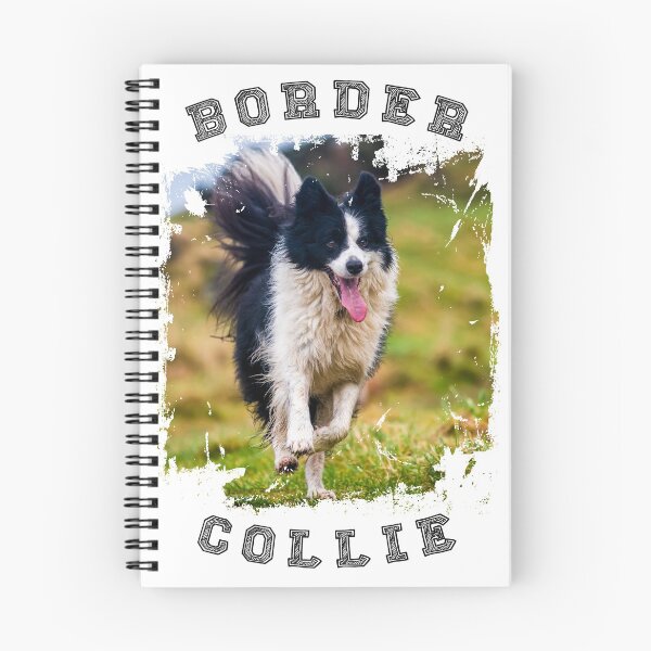 Item preview, Scottish Border collie photo  - Black and white dog designed and sold by bdws.