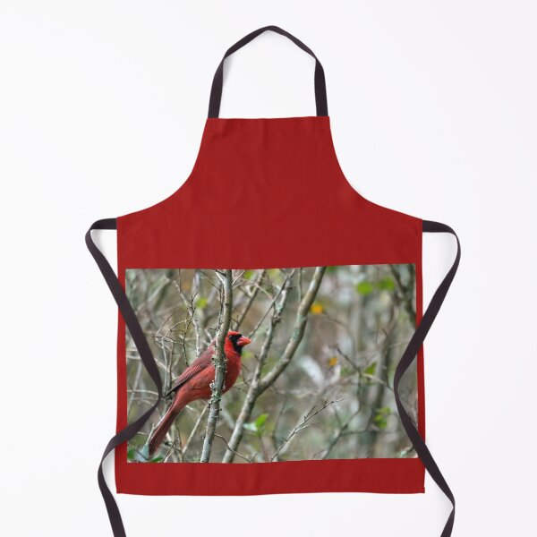 Item preview, Winter Cardinal designed and sold by KbytesOfJax Outdoor and Nature.